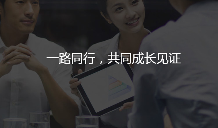 河南网站优化